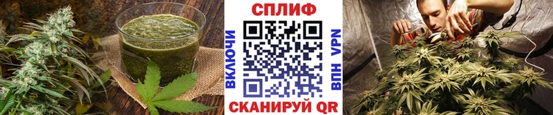 Еда ТГК марихуана  Шлиссельбург 