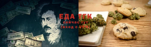 гидра Абаза