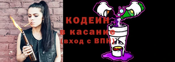 гидра Абаза