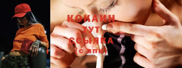 гидра Абаза