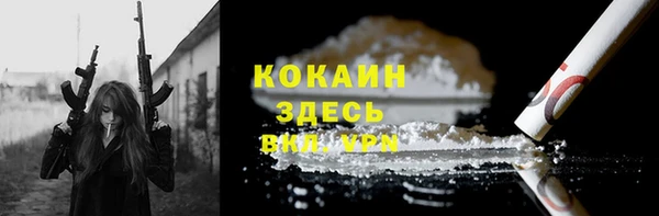 прущие грибы Магас