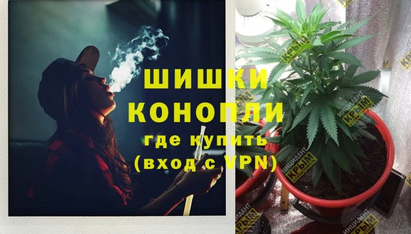 гидра Абаза