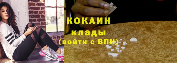 гидра Абаза