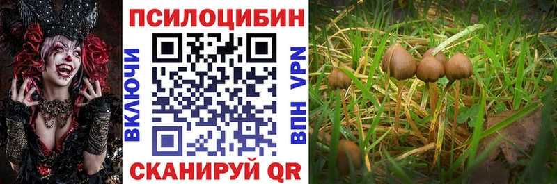 Псилоцибиновые грибы мицелий  Шлиссельбург 
